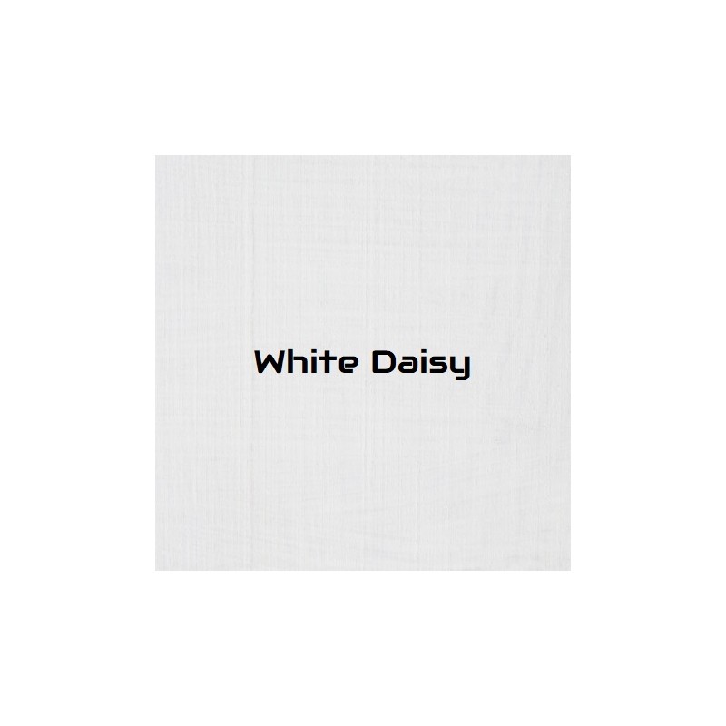 white daisy colour