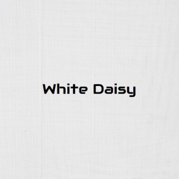 white daisy colour swatch